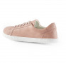 Antal Amada Peach